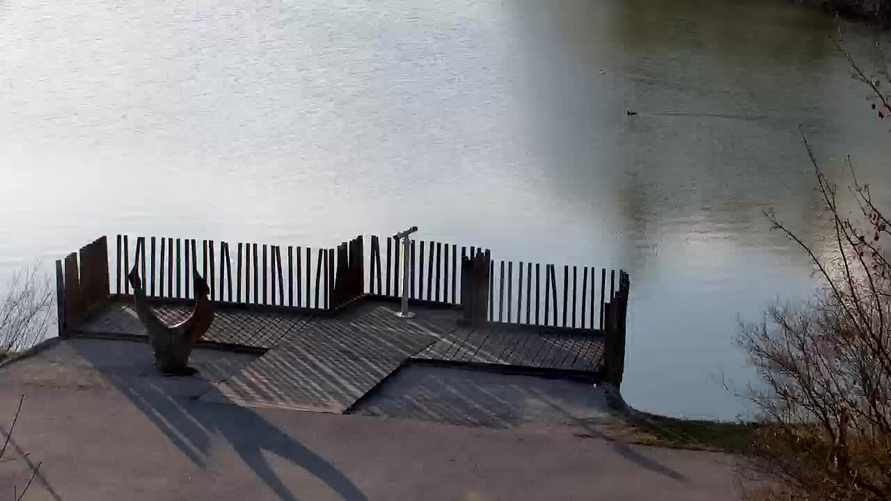 Webcam Ribnik Vrbje – Žalec