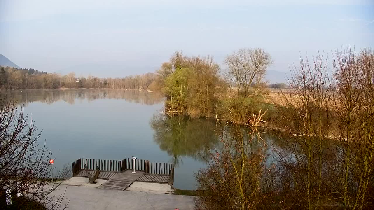 Webcam Ribnik Vrbje – Žalec