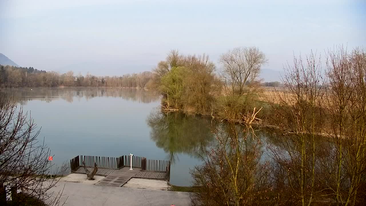 Webcam Ribnik Vrbje – Žalec