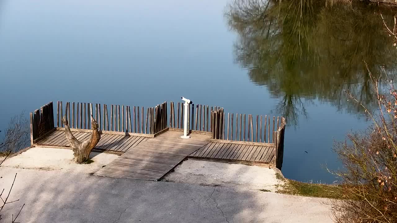 Webcam Ribnik Vrbje – Žalec