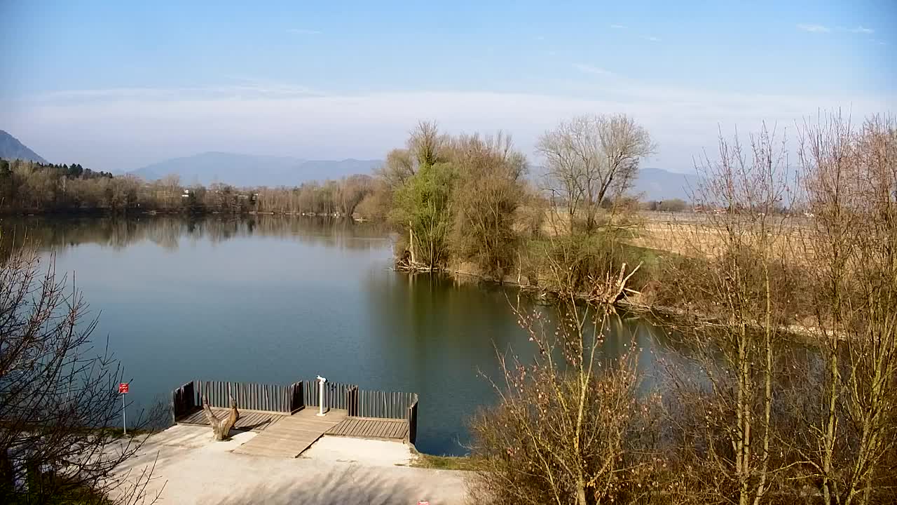 Webcam Ribnik Vrbje – Žalec