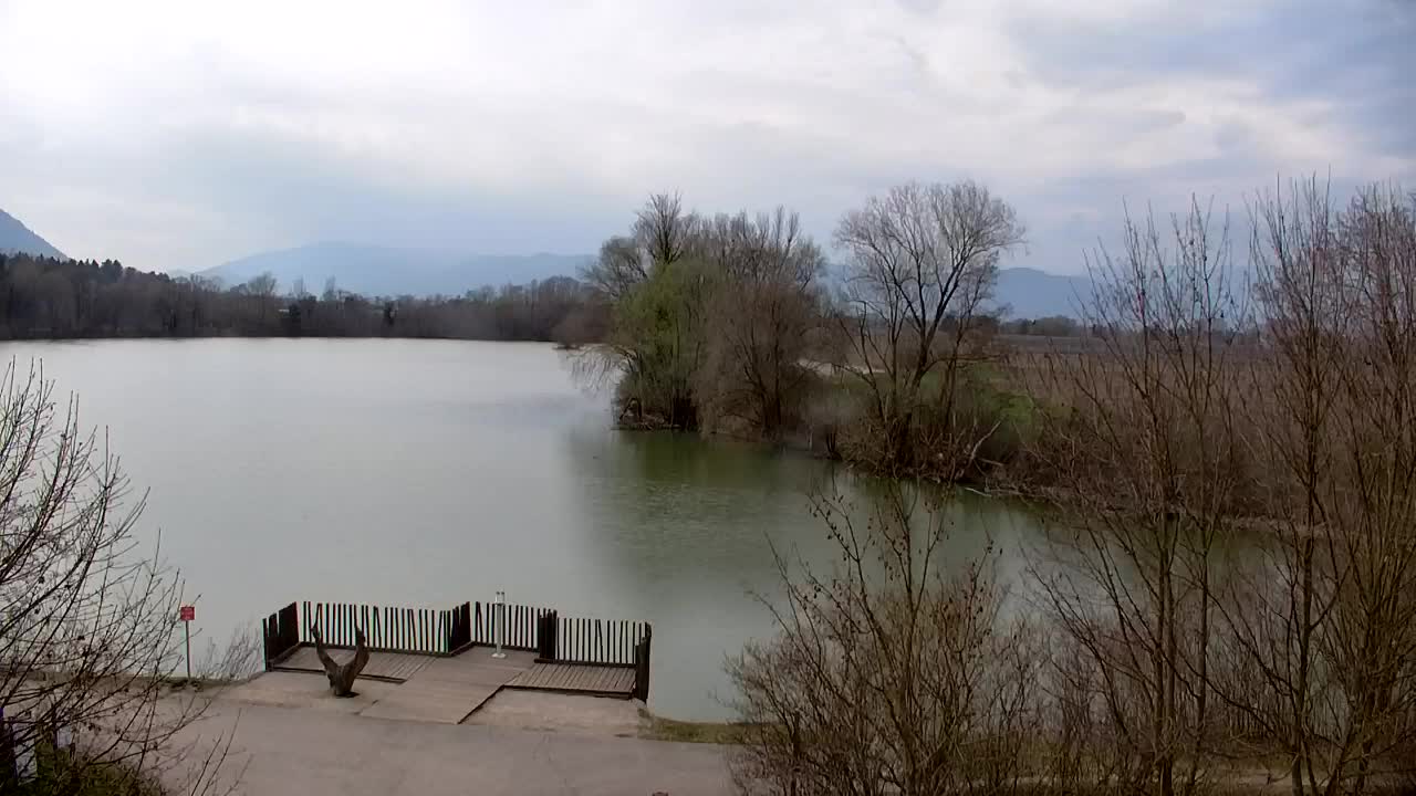 Webcam Ribnik Vrbje – Žalec