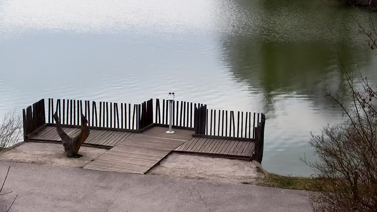 Webcam Ribnik Vrbje – Žalec