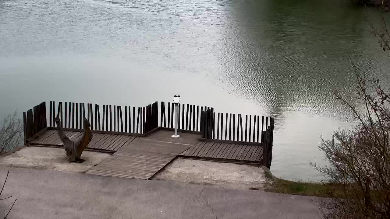 Webcam Ribnik Vrbje – Žalec