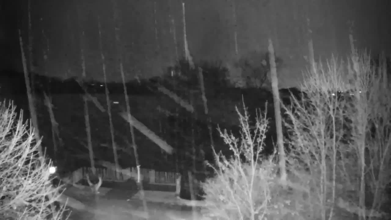 Webcam Ribnik Vrbje – Žalec