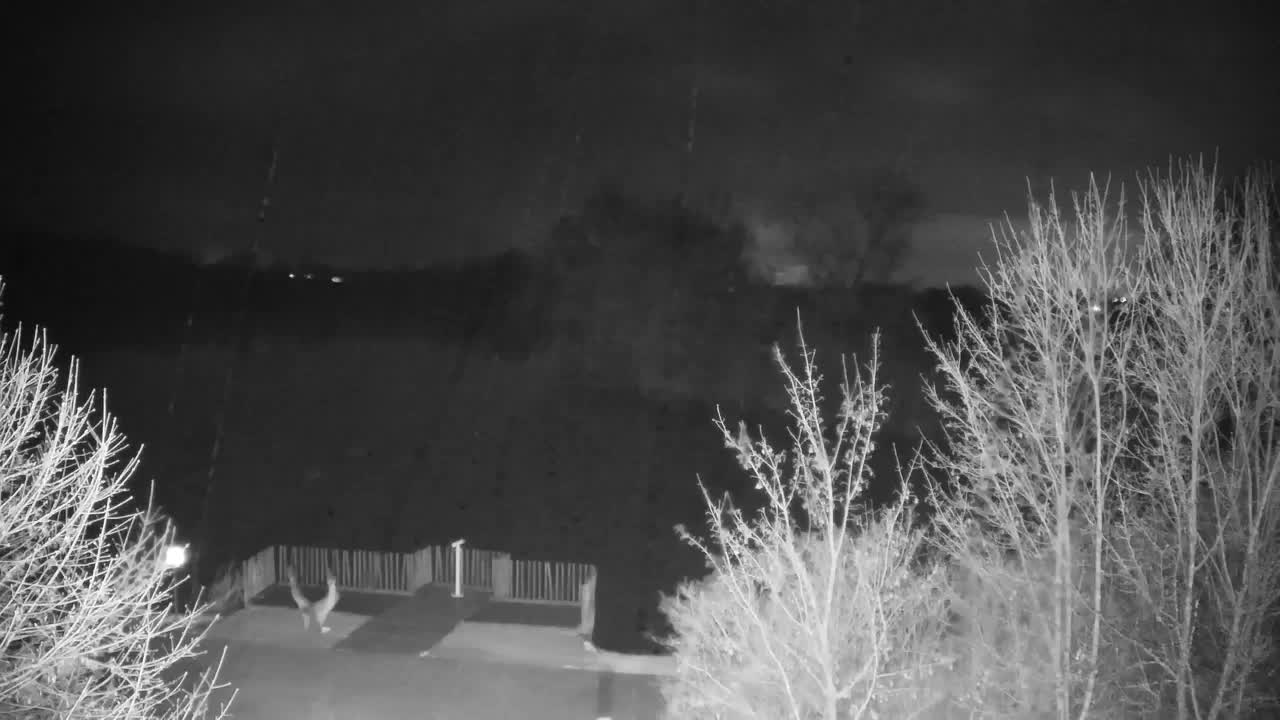 Webcam Ribnik Vrbje – Žalec