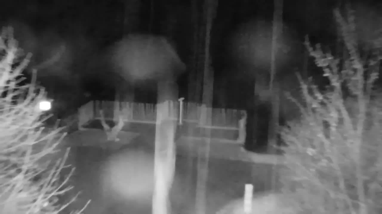 Webcam Ribnik Vrbje – Žalec