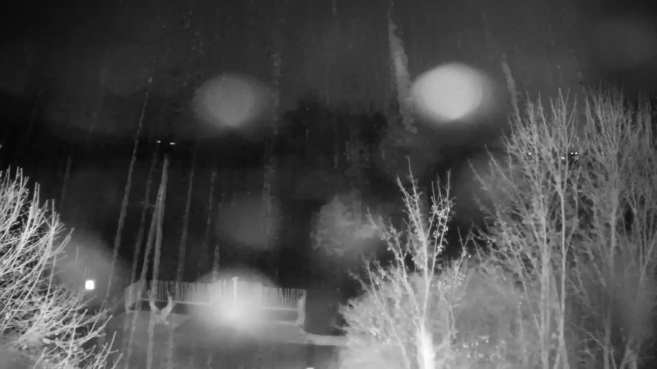 Spletna kamera Ribnik Vrbje – Žalec