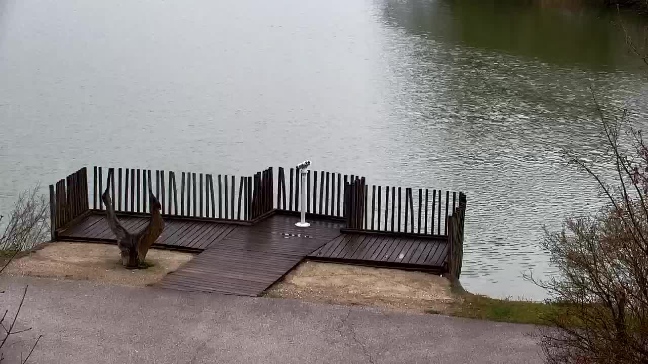 Webcam Ribnik Vrbje – Žalec