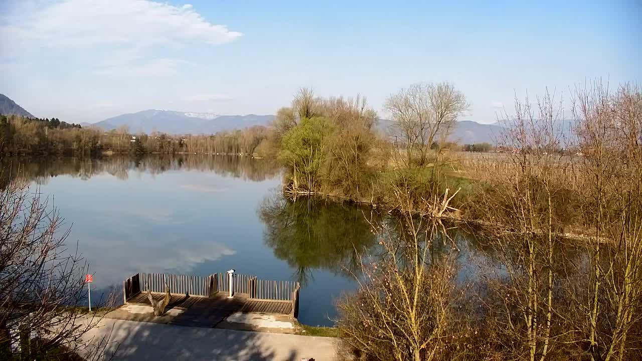 Webcam Ribnik Vrbje – Žalec