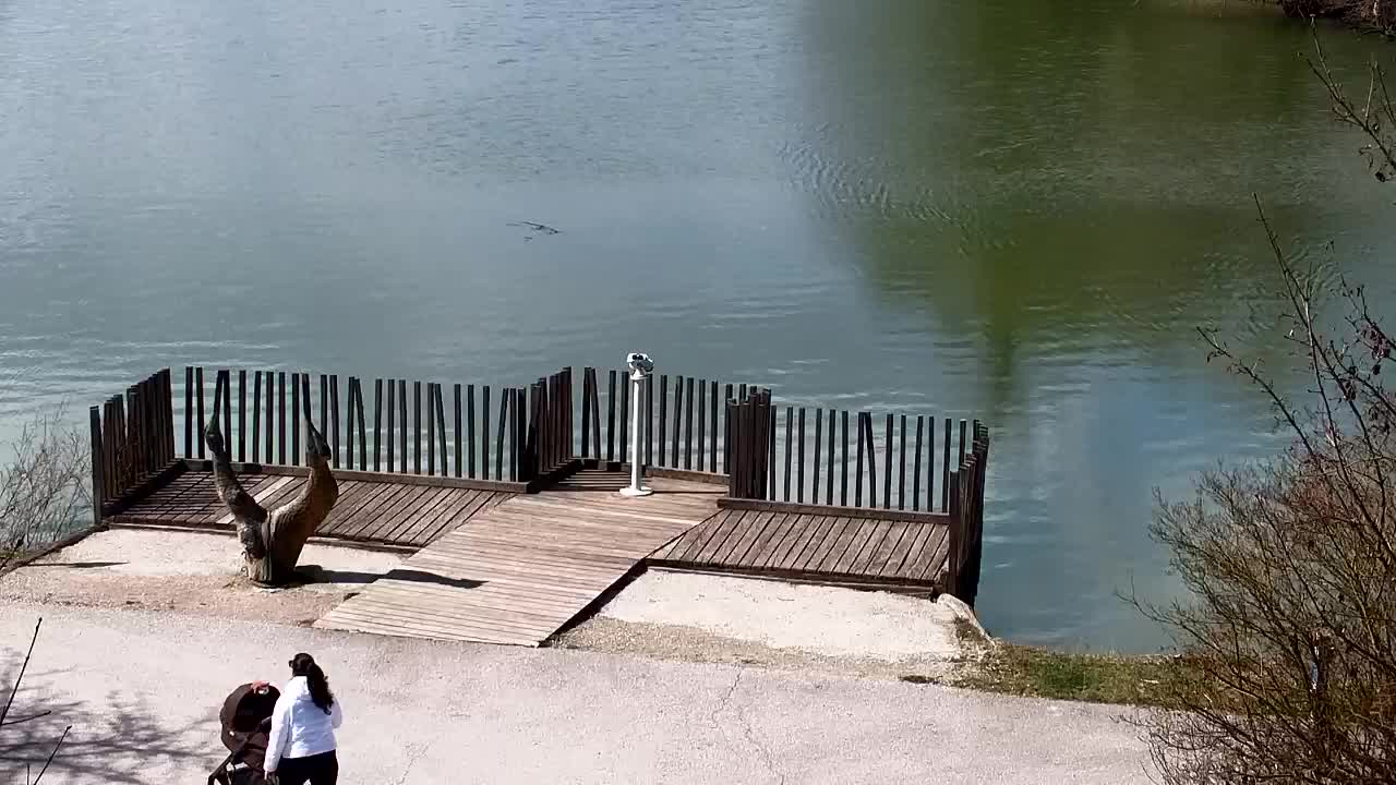 Webcam Ribnik Vrbje – Žalec