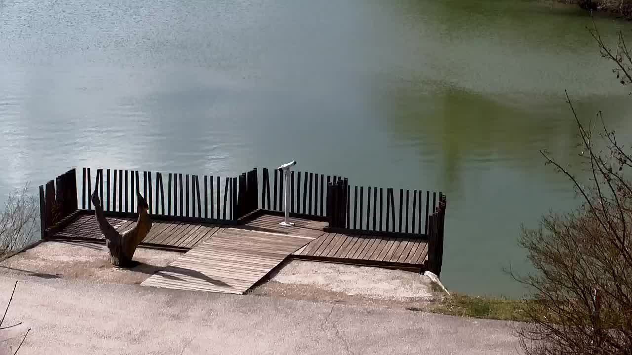 Webcam Ribnik Vrbje – Žalec