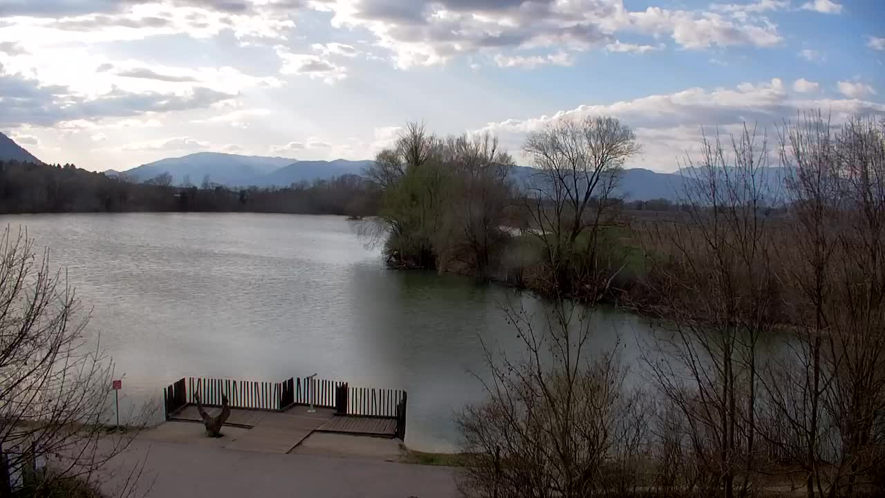 Webcam Ribnik Vrbje – Žalec