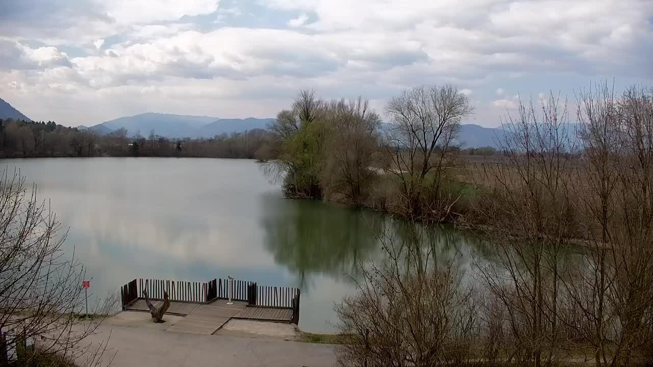 Webcam Ribnik Vrbje – Žalec