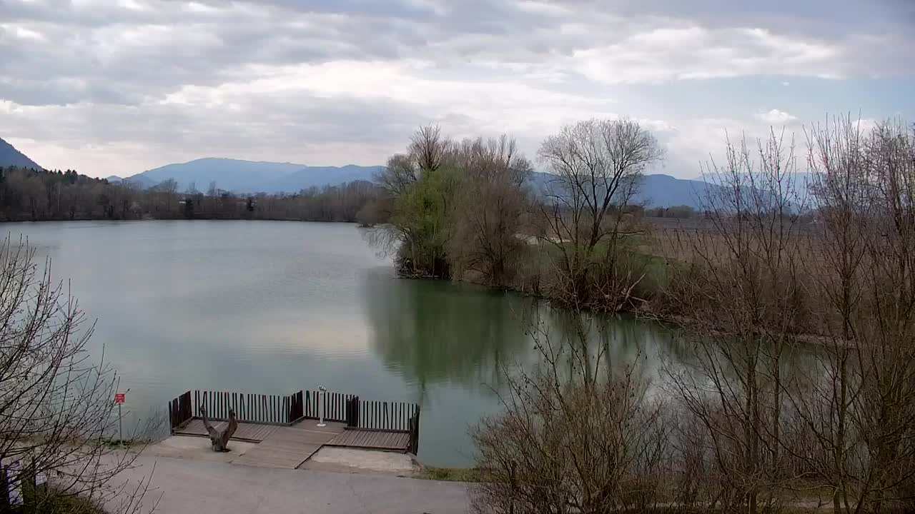 Webcam Ribnik Vrbje – Žalec