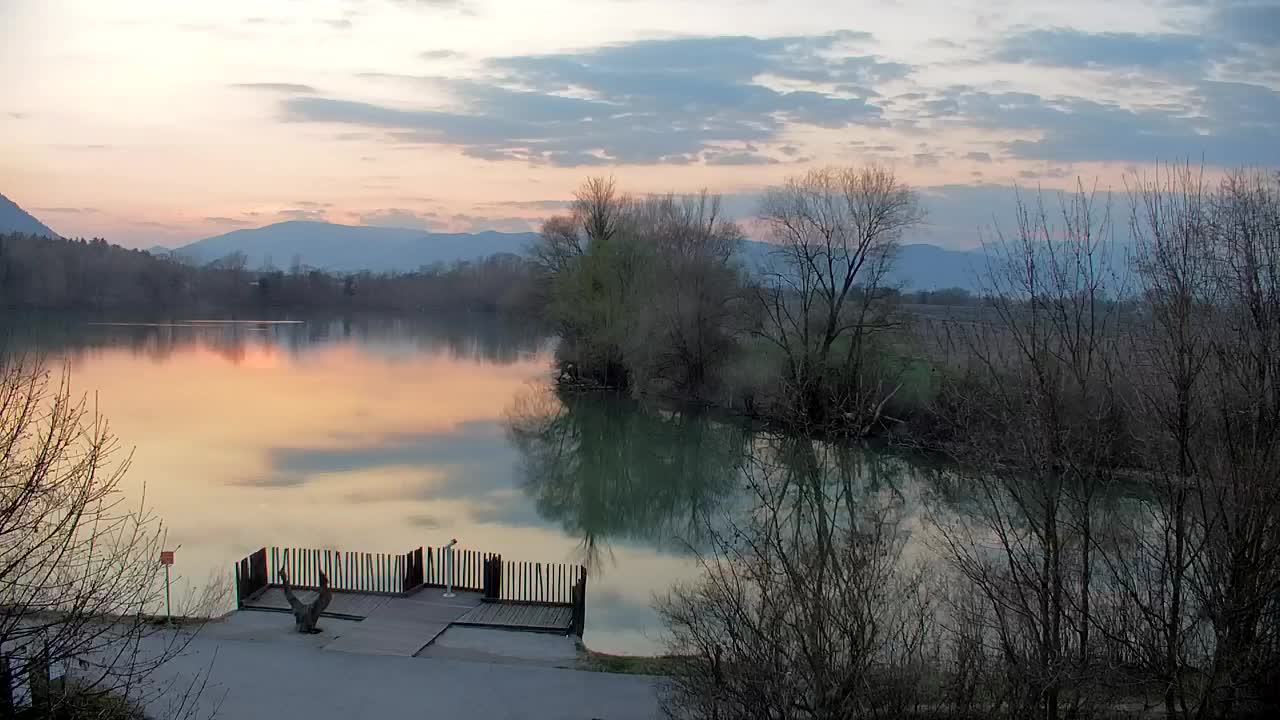 Web kamera Ribnik Vrbje – Žalec