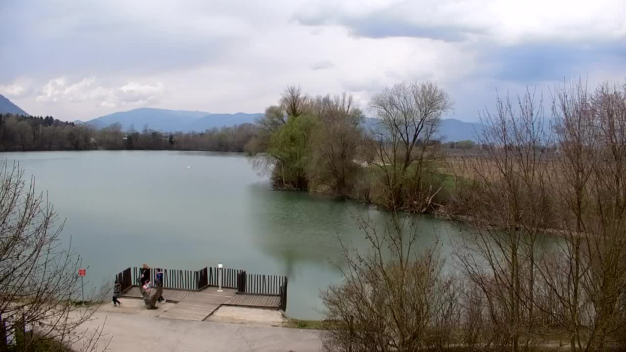Webcam Ribnik Vrbje – Žalec