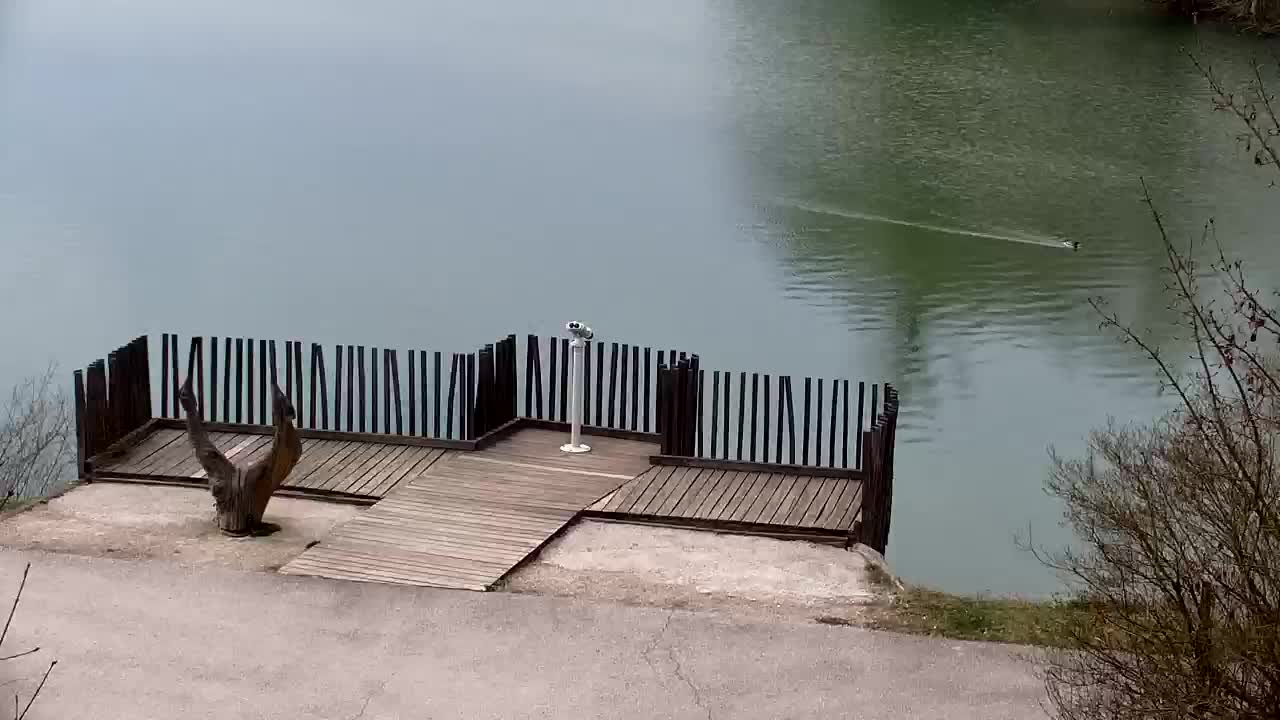 Webcam Ribnik Vrbje – Žalec