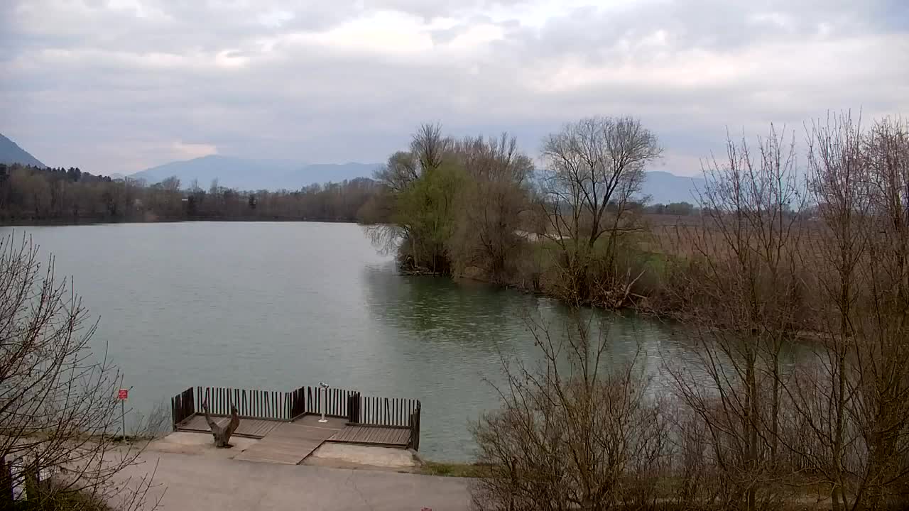 Webcam Ribnik Vrbje – Žalec