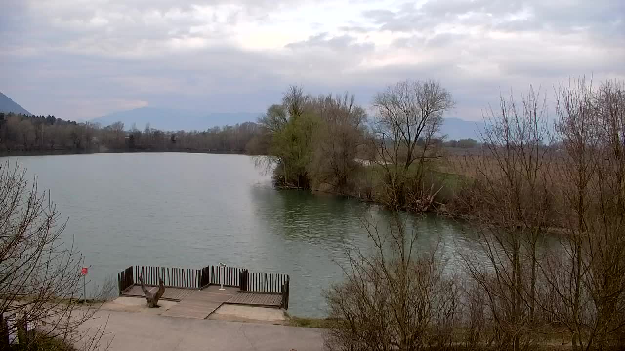 Webcam Ribnik Vrbje – Žalec