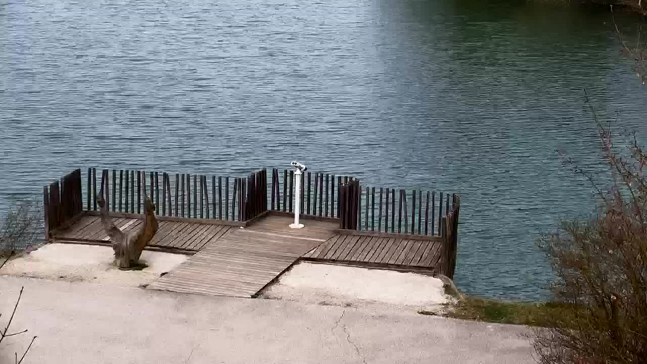 Webcam Ribnik Vrbje – Žalec