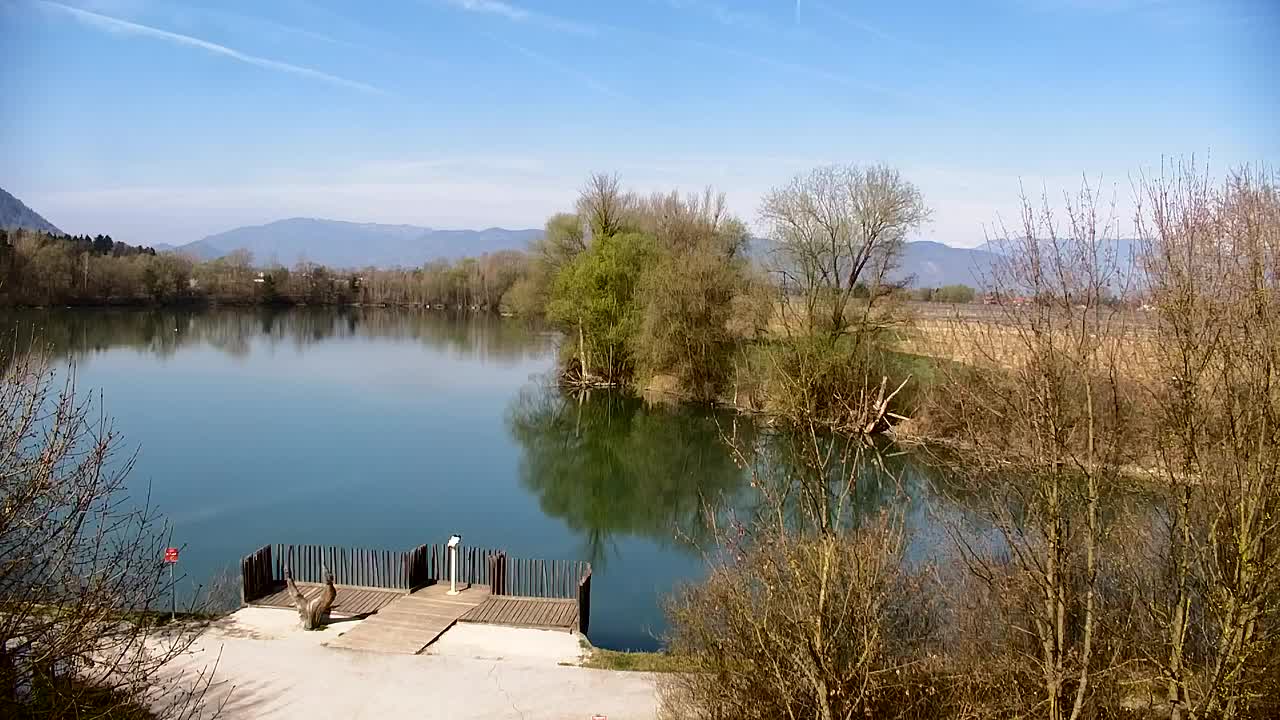 Webcam Ribnik Vrbje – Žalec