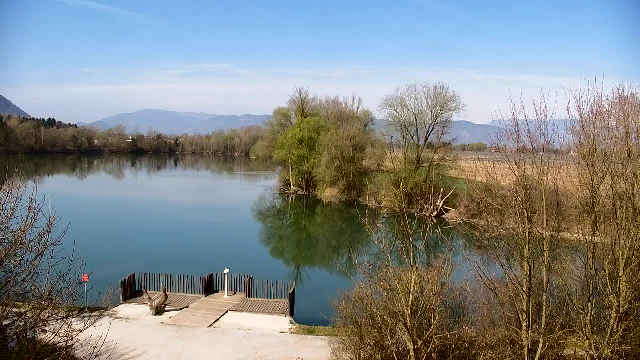 Webcam Ribnik Vrbje – Žalec