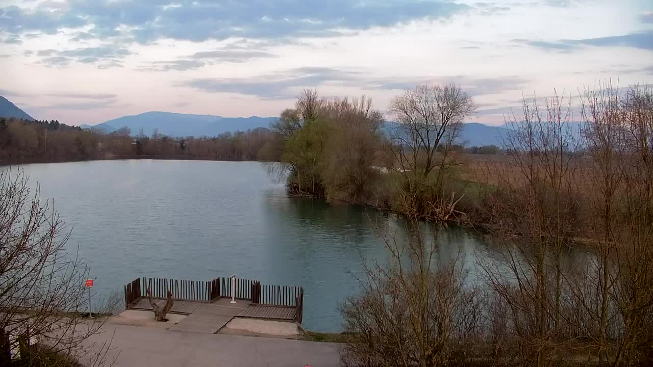 Webcam Ribnik Vrbje – Žalec