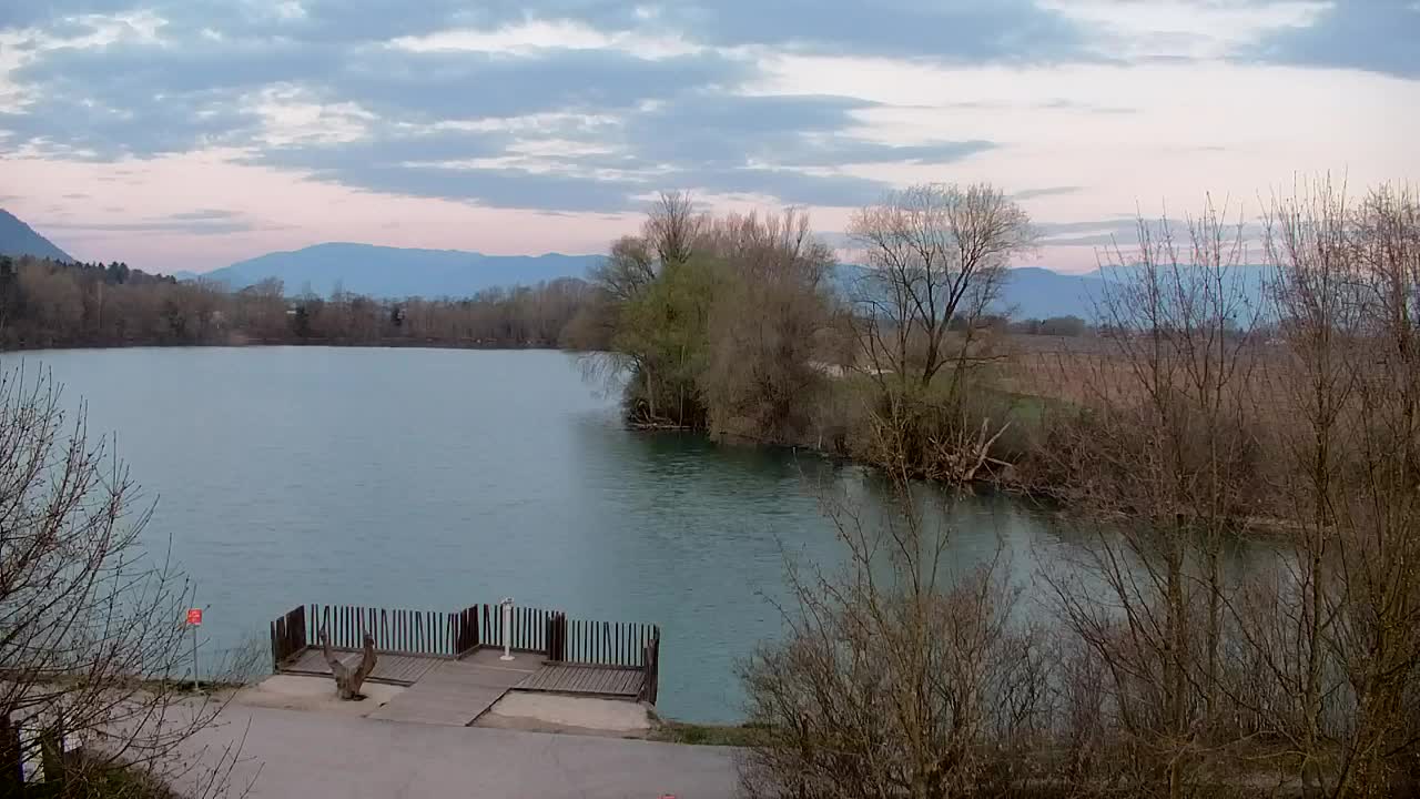 Webcam Ribnik Vrbje – Žalec