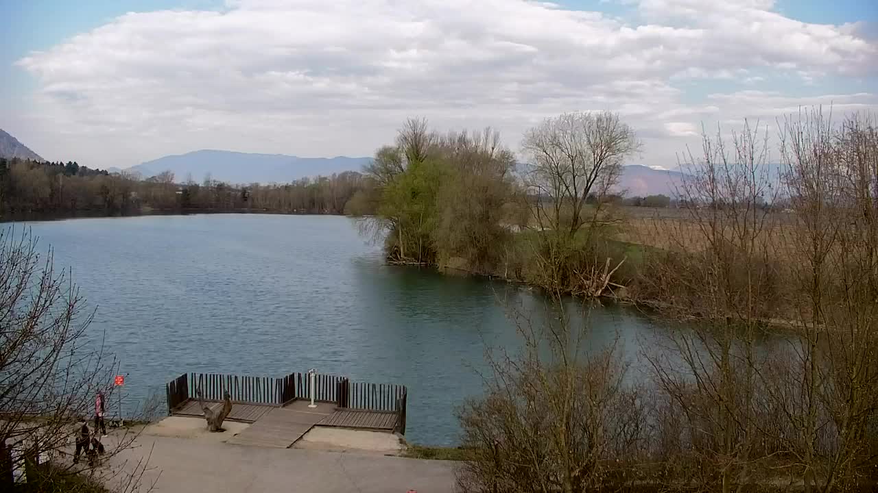 Webcam Ribnik Vrbje – Žalec