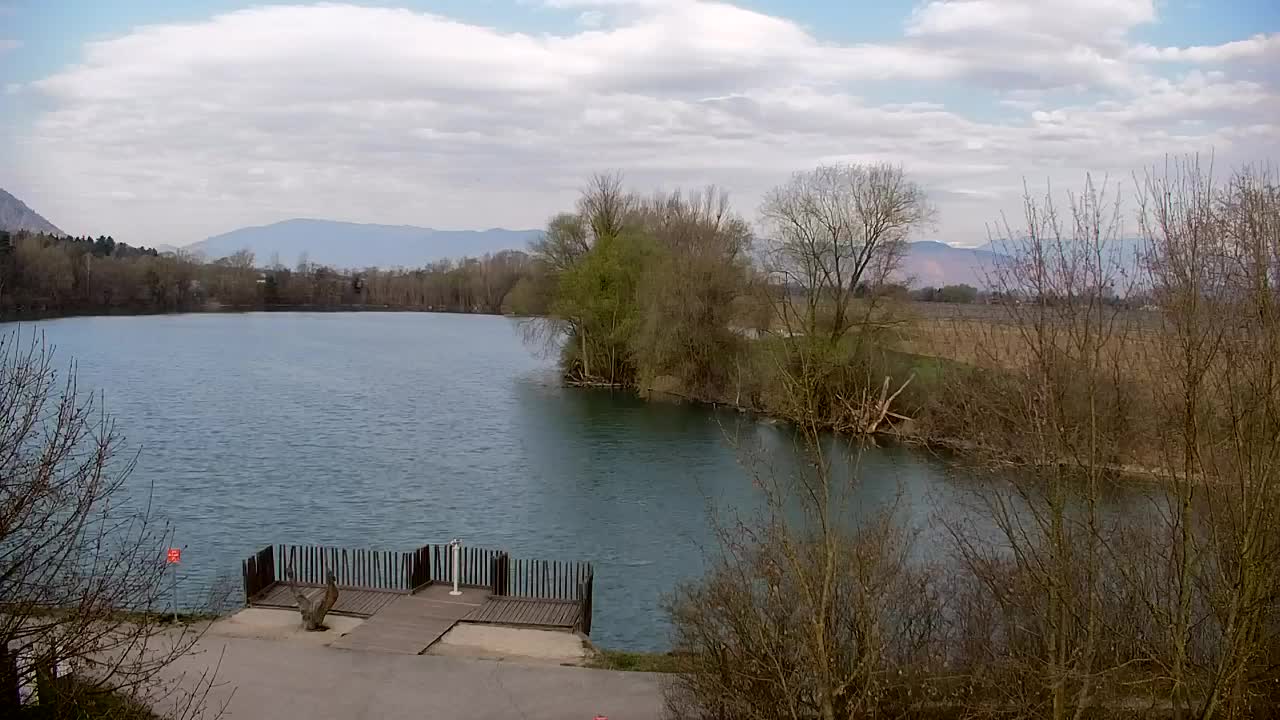 Webcam Ribnik Vrbje – Žalec