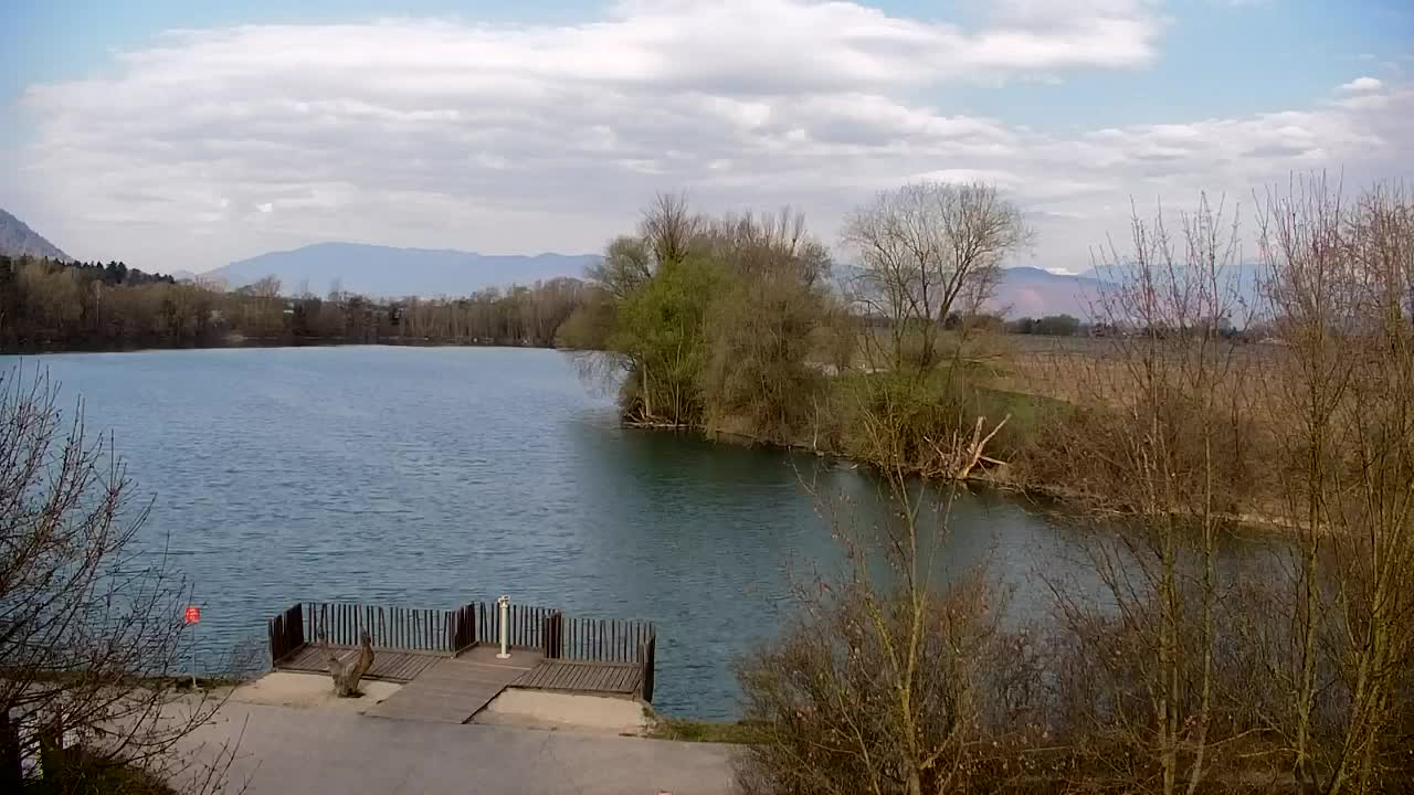 Webcam Ribnik Vrbje – Žalec