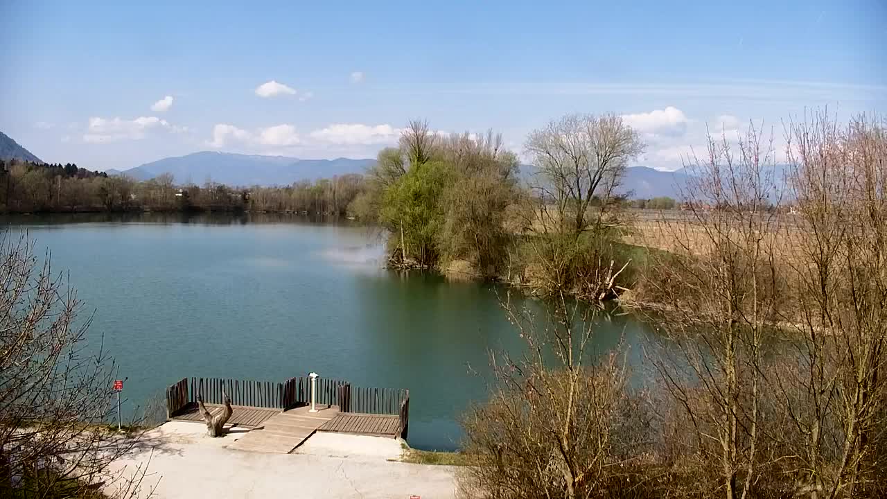 Spletna kamera Ribnik Vrbje – Žalec