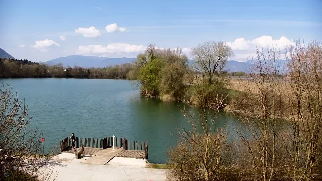 Webcam Ribnik Vrbje – Žalec