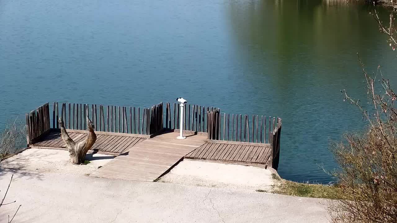 Spletna kamera Ribnik Vrbje – Žalec