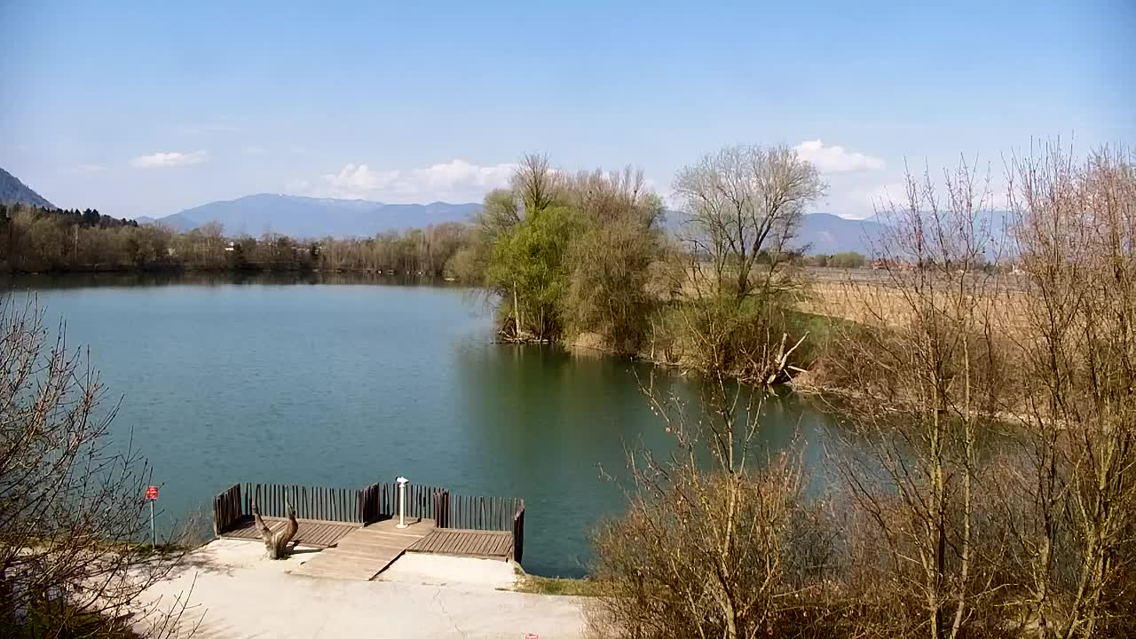 Spletna kamera Ribnik Vrbje – Žalec