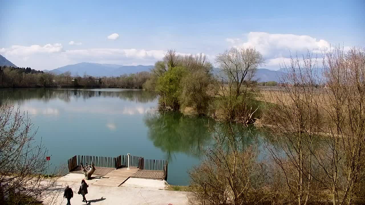 Web kamera Ribnik Vrbje – Žalec