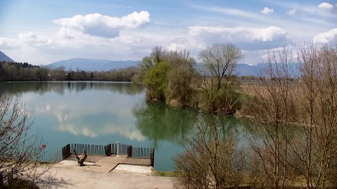 Spletna kamera Ribnik Vrbje – Žalec