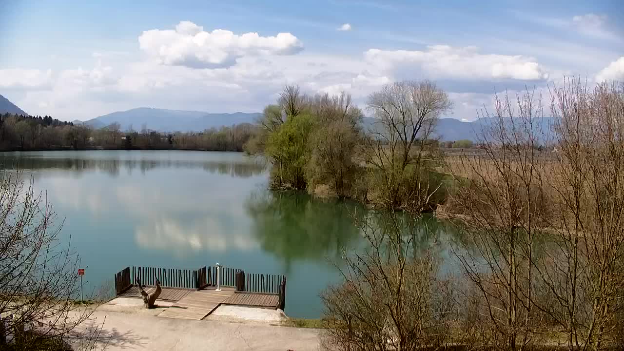 Spletna kamera Ribnik Vrbje – Žalec