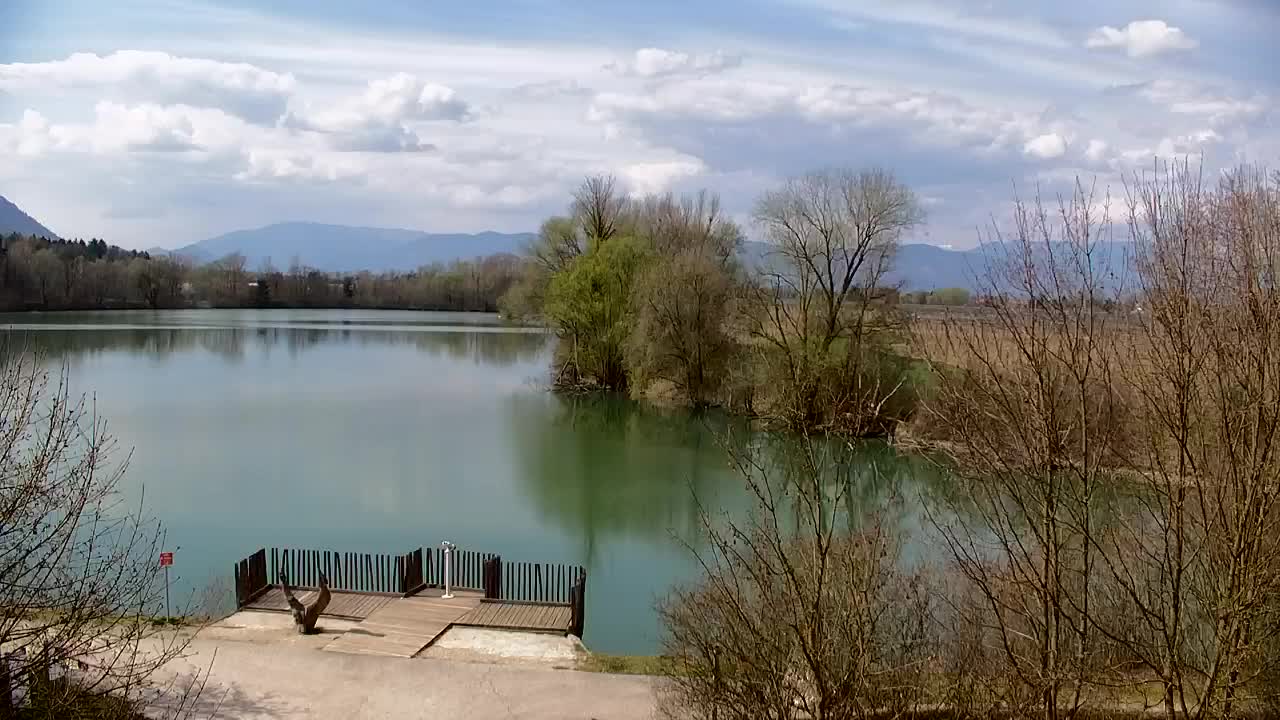 Web kamera Ribnik Vrbje – Žalec