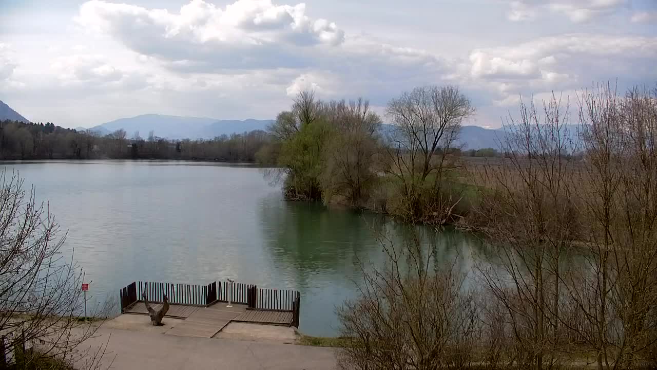 Web kamera Ribnik Vrbje – Žalec