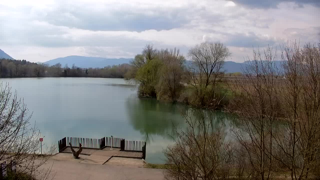 Spletna kamera Ribnik Vrbje – Žalec