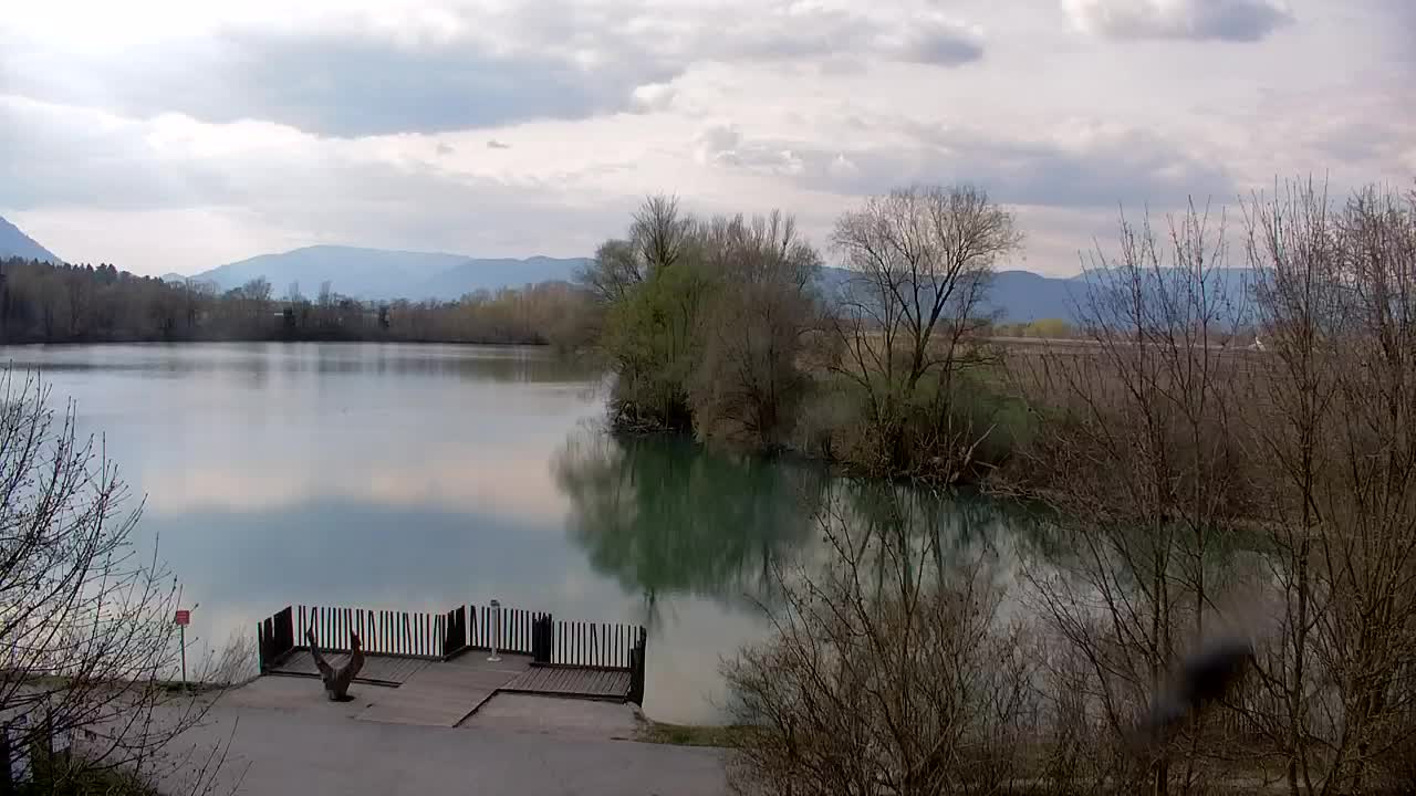 Web kamera Ribnik Vrbje – Žalec