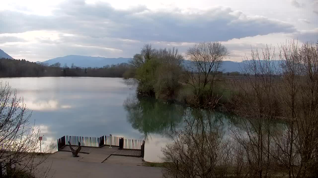 Webcam Ribnik Vrbje – Žalec