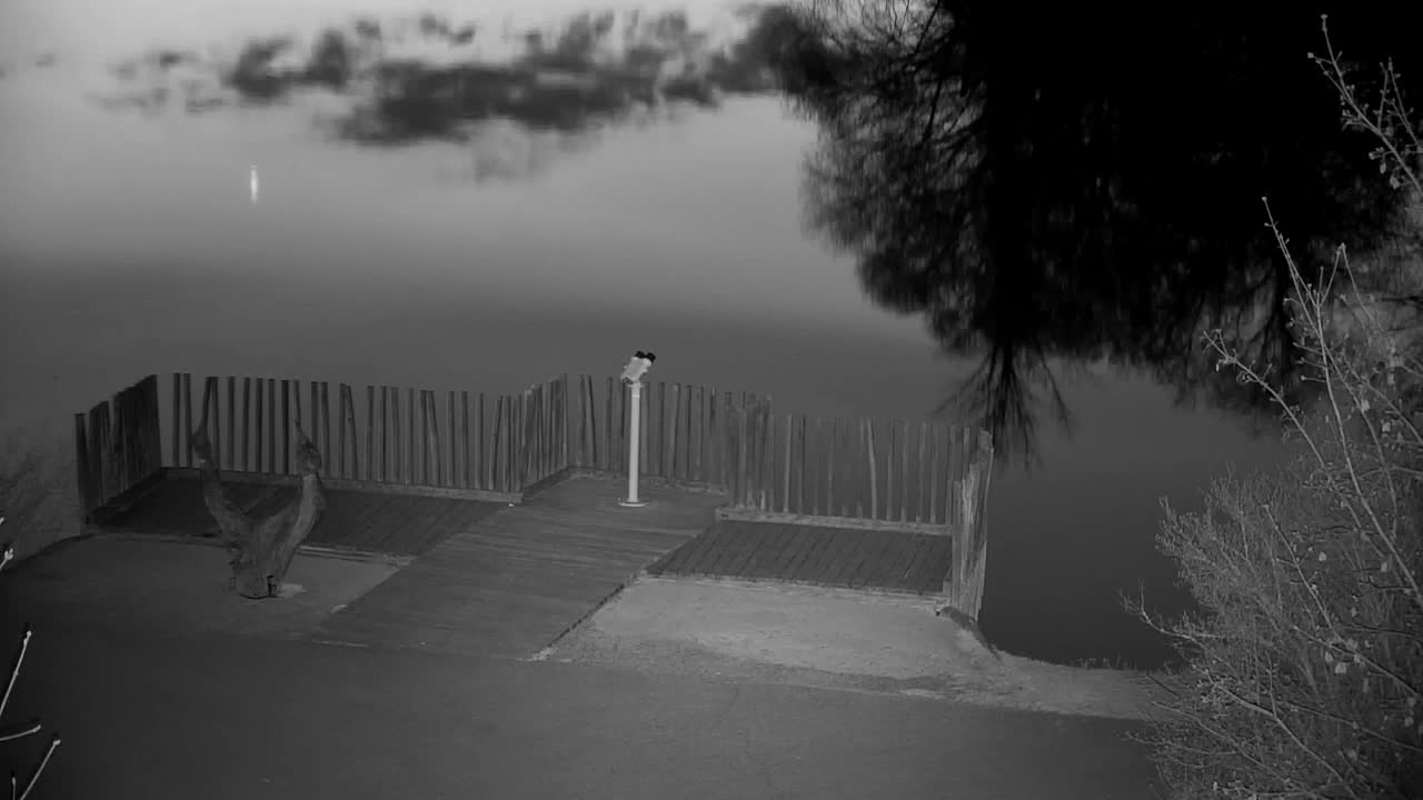 Webcam Ribnik Vrbje – Žalec