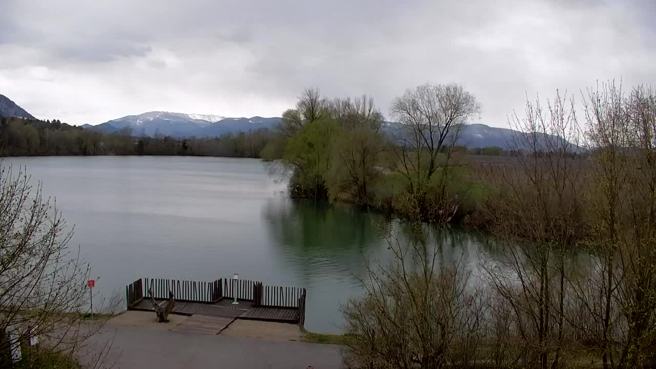 Webcam Ribnik Vrbje – Žalec