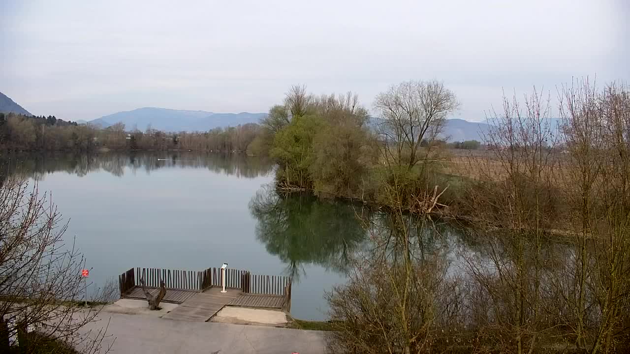 Webcam Ribnik Vrbje – Žalec