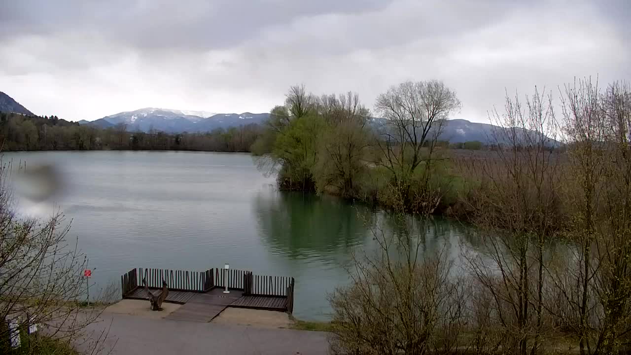 Webcam Ribnik Vrbje – Žalec