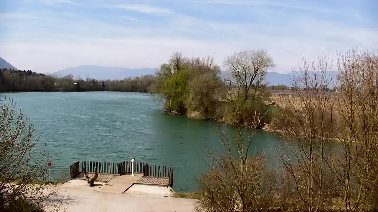 Webcam Ribnik Vrbje – Žalec