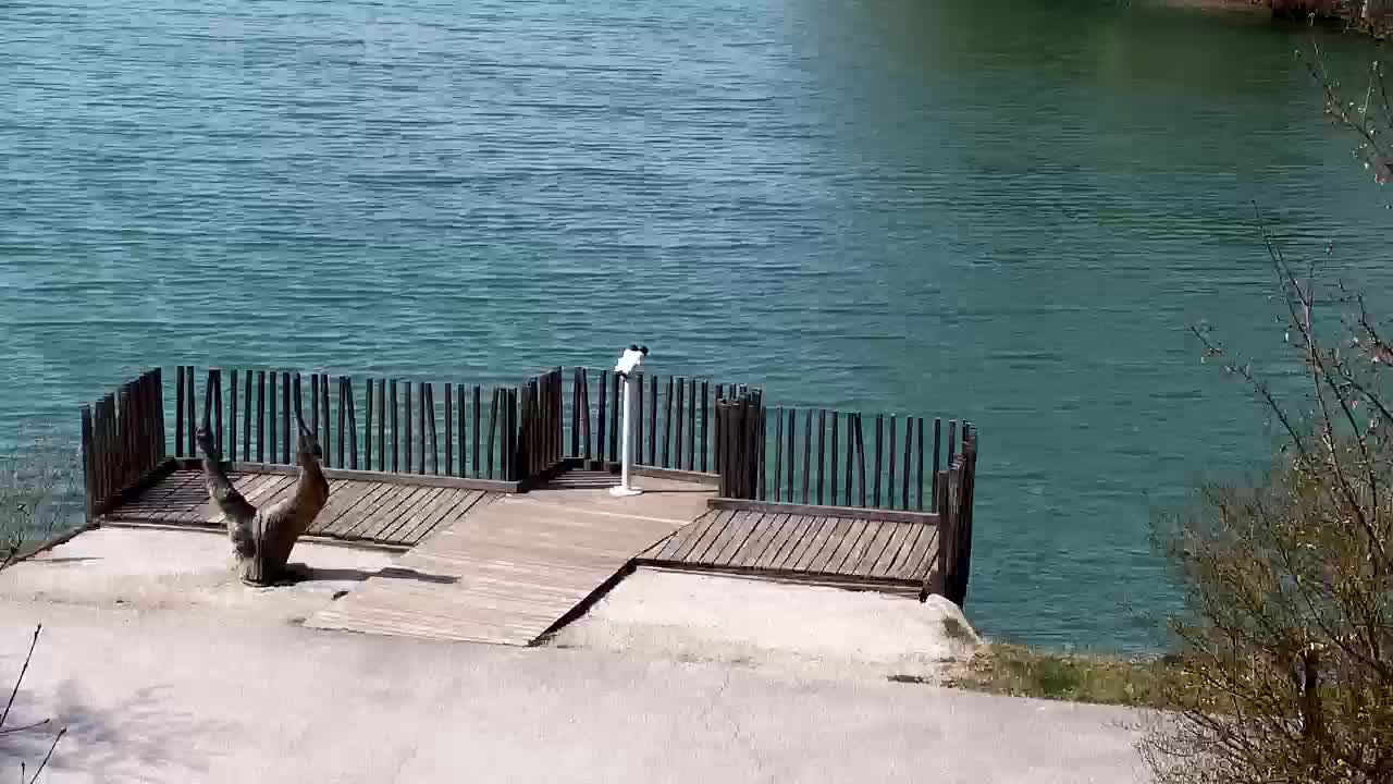 Webcam Ribnik Vrbje – Žalec